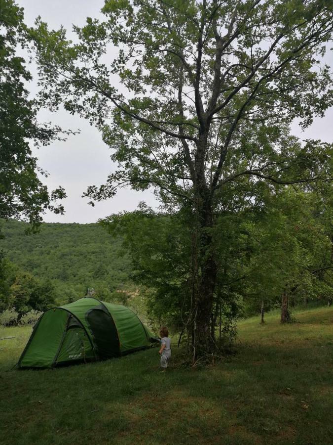 Eco Camp Supot